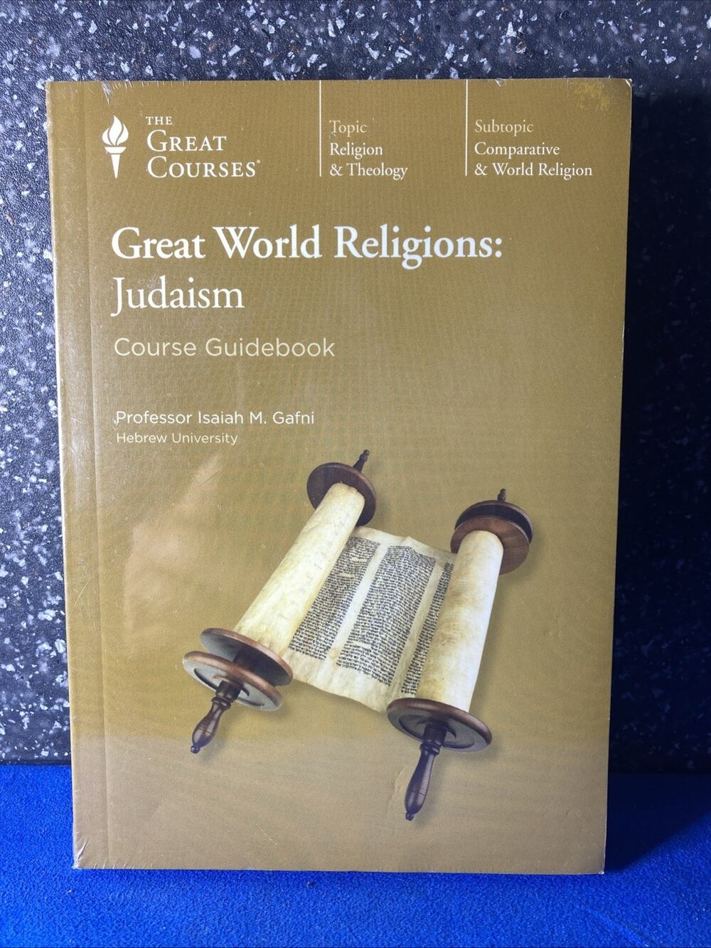 Great World Religions : Judaism by Isaiah Gafni (2003, Hardcover / Dvd)